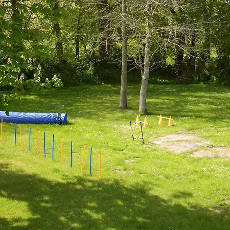 !!!neu!!! Border Collie Apartment *